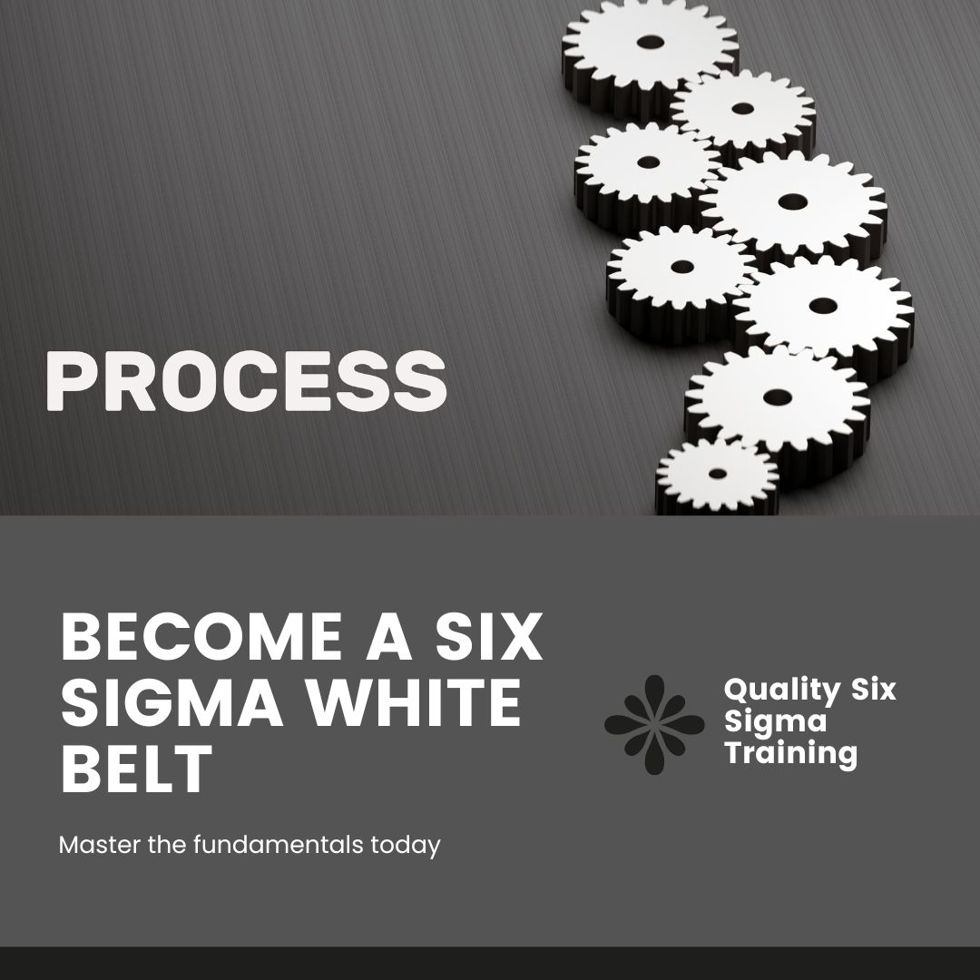 Six Sigma White Belt